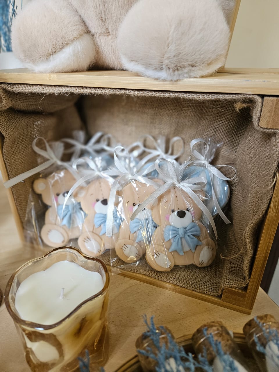 Teddy bear newborn chocolate setup- cookies