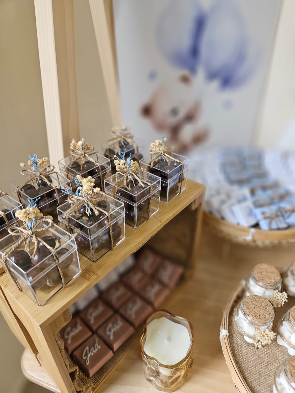Teddy Bear Theme π§Έ β Newborn Chocolate Setup