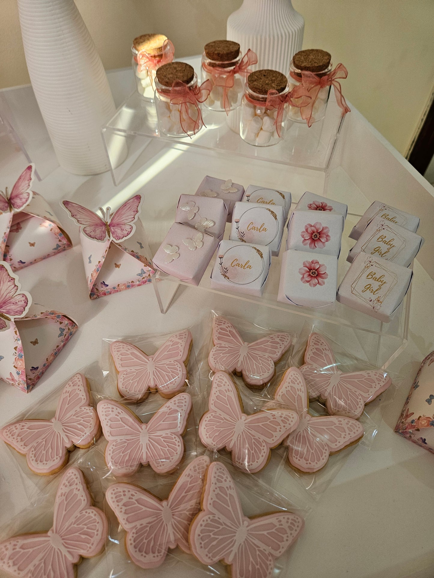 Butterfly Theme Newborn Chocolate Setup - Decorated Cookies