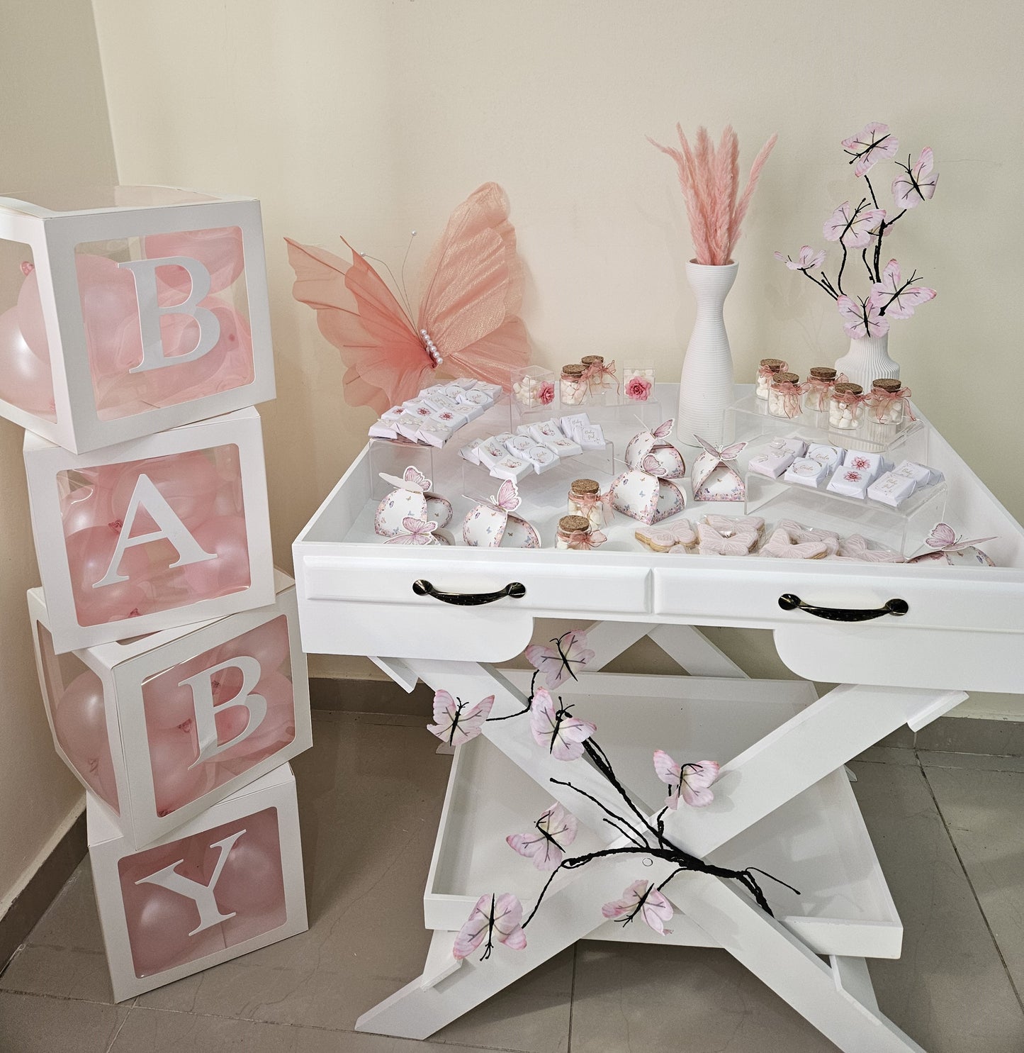 Butterfly Theme Newborn Chocolate Setup - Whole setup