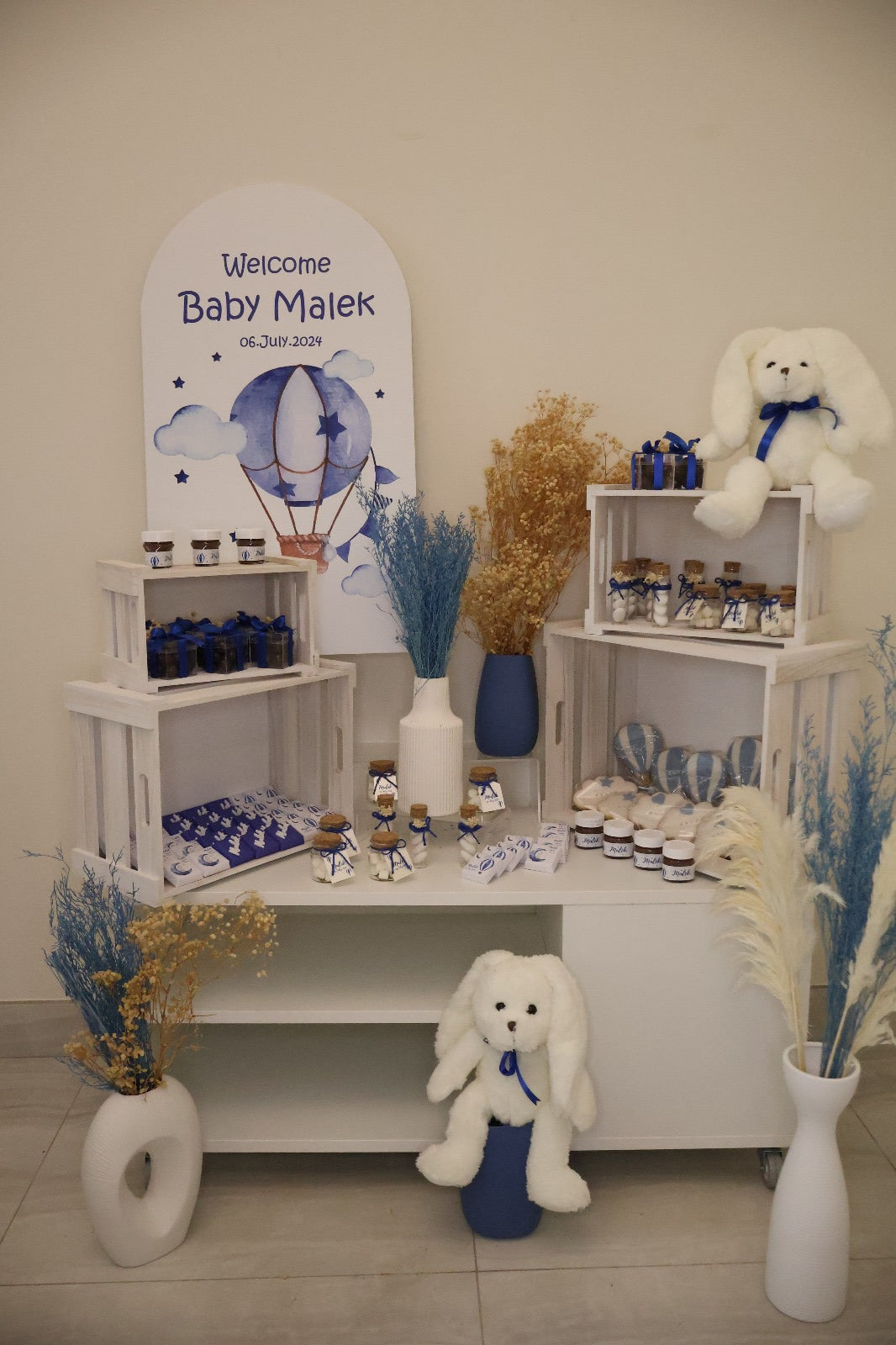 Hot Air Balloon Newborn Chocolate Setup- whole setup