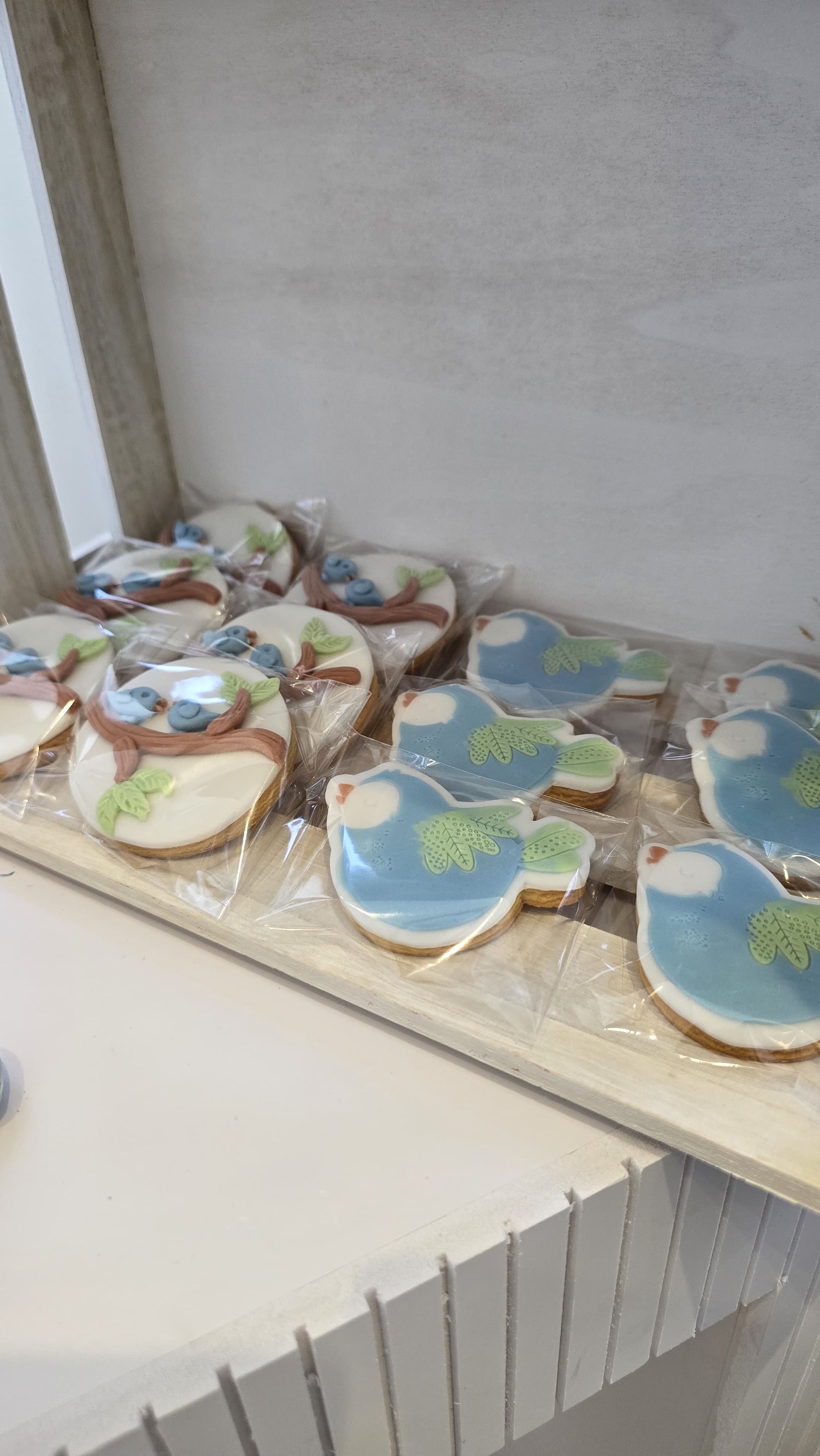 Bird theme Newborn Chocolate setup - Cookies