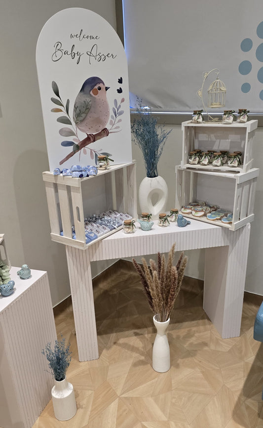 Newborn Chocolate setup - Bird theme