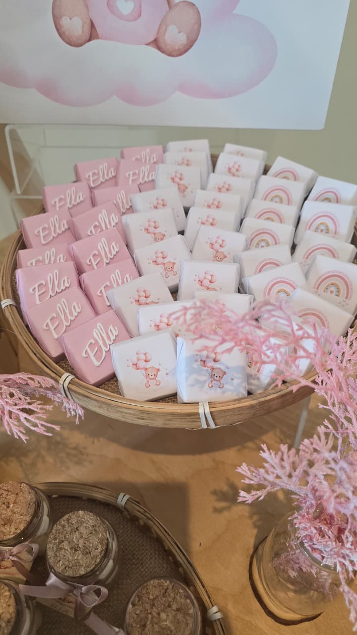 Pink Teddy Bear Setup